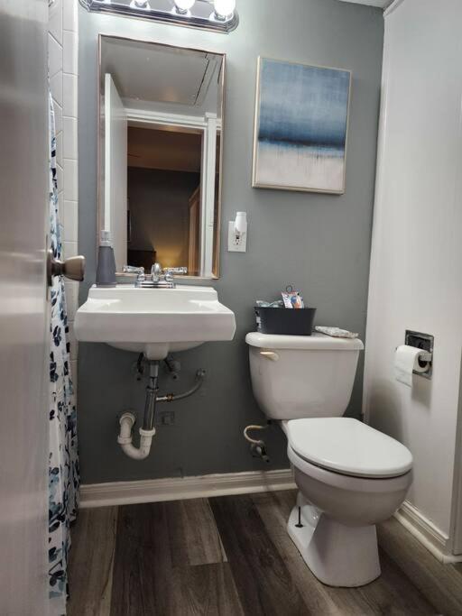 Apartament Blue Shark *W7* @ Montrose 1Br Private King Loft Houston Zewnętrze zdjęcie