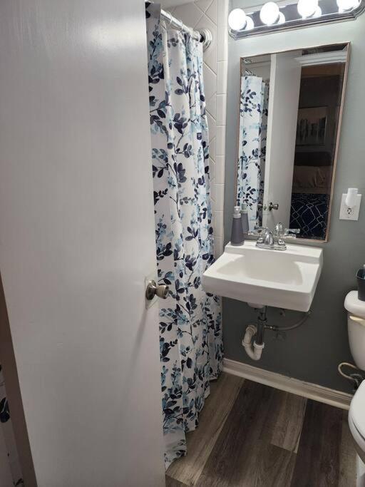 Apartament Blue Shark *W7* @ Montrose 1Br Private King Loft Houston Zewnętrze zdjęcie